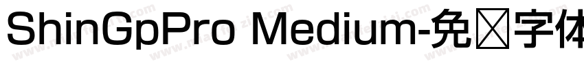 ShinGpPro Medium字体转换
